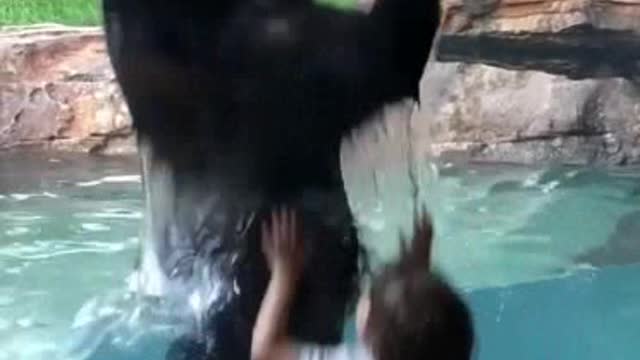 The Bear and Five years old child jumping together fun