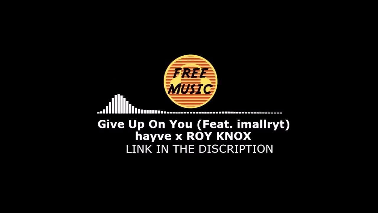 Hayve x ROY KNOX - Give Up On You Feat imallryt