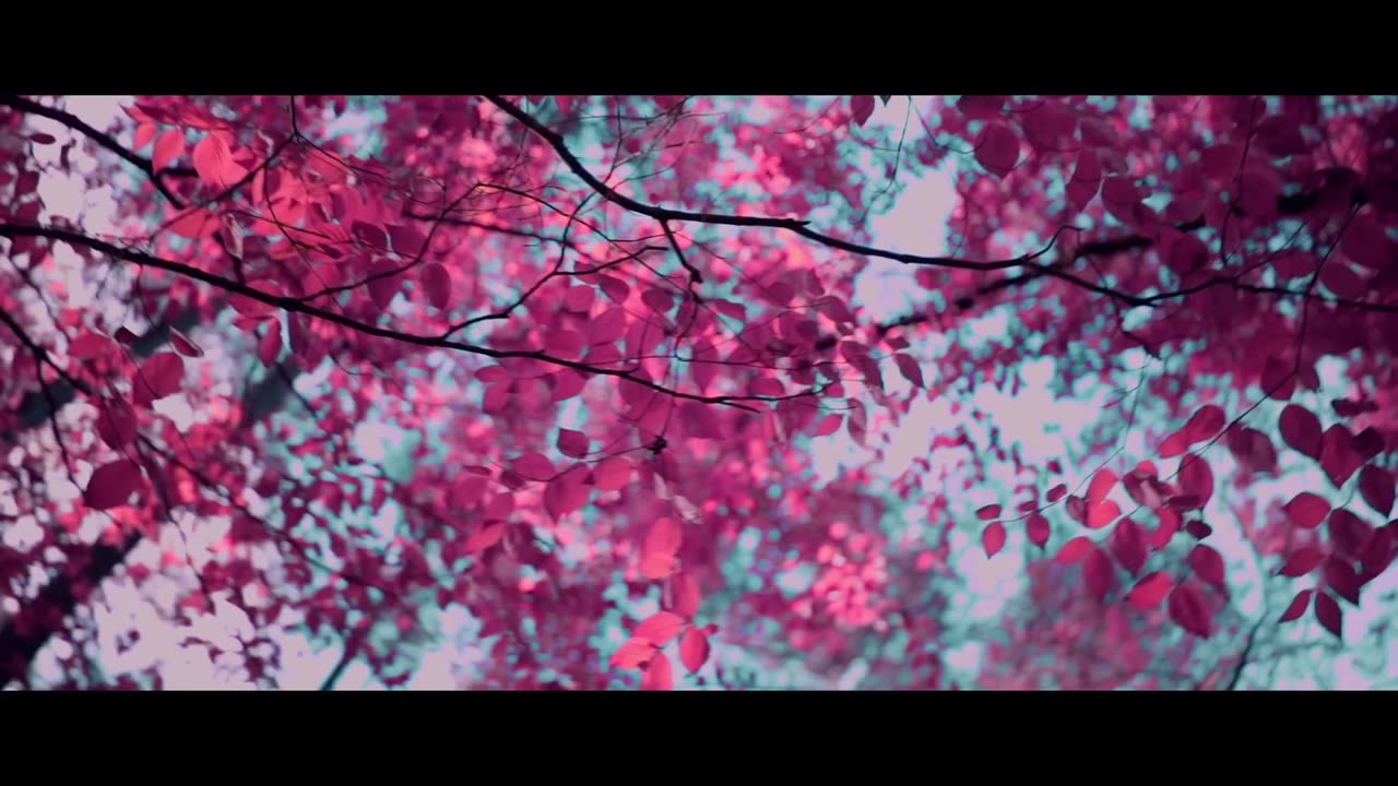 Russ - What They Want (Official Video)