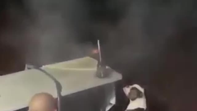 Dog Reaction Of Fire Cracker