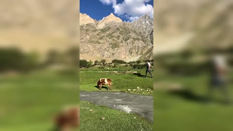 Bilamik valley,Gilgit Baltistan