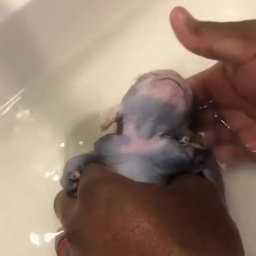 the perfect song for this I love it and a cute one to go with