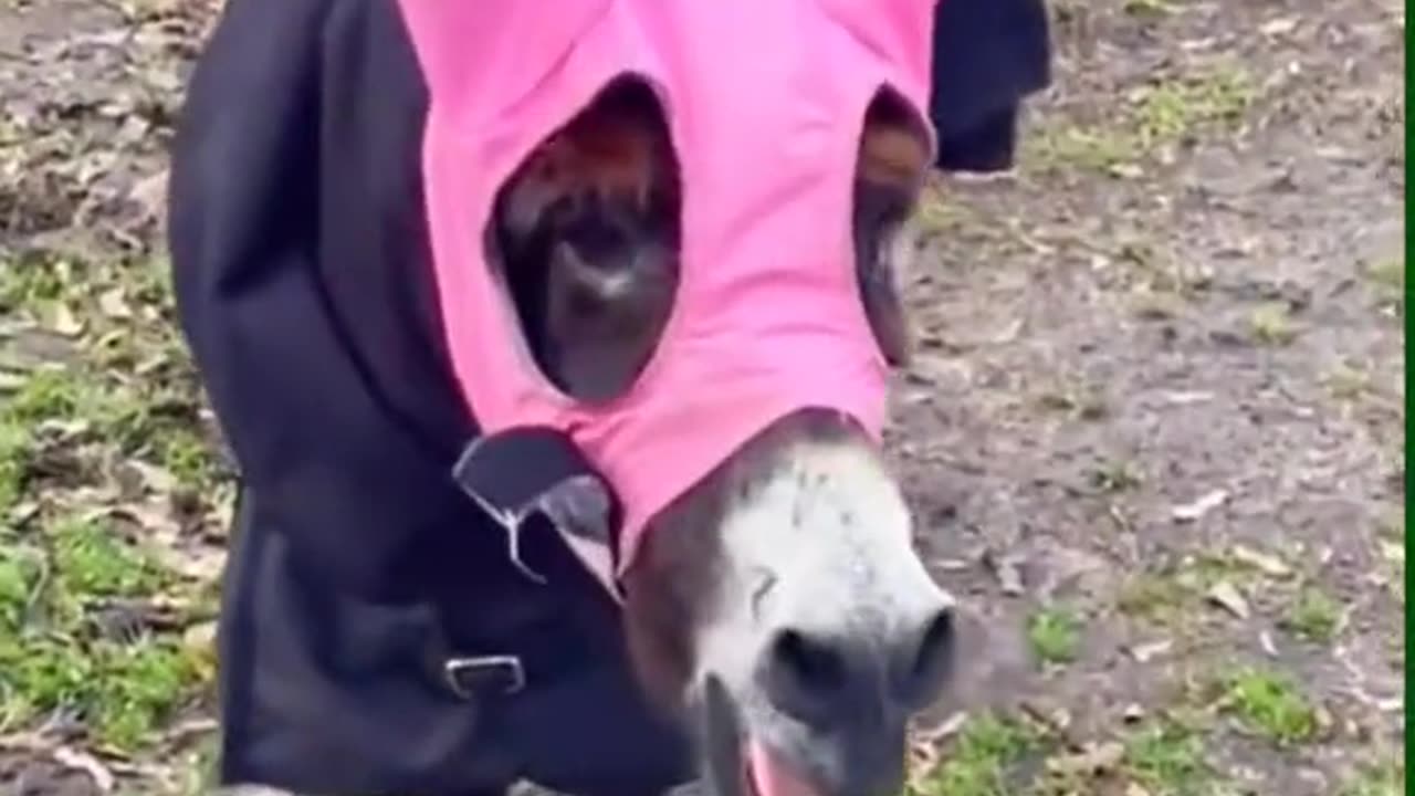 hhhhhhhhhhhhh