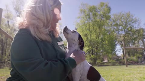 Professional Dog Training at Holiday House Pet Resort