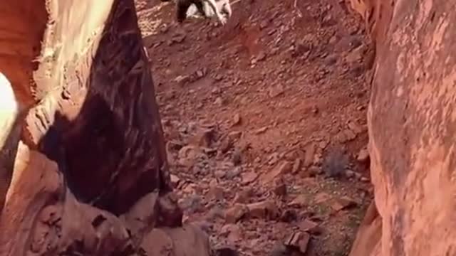 The cliff