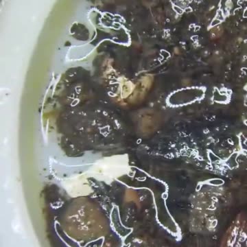 Tap Water - Wake up [We pay for poisened water]