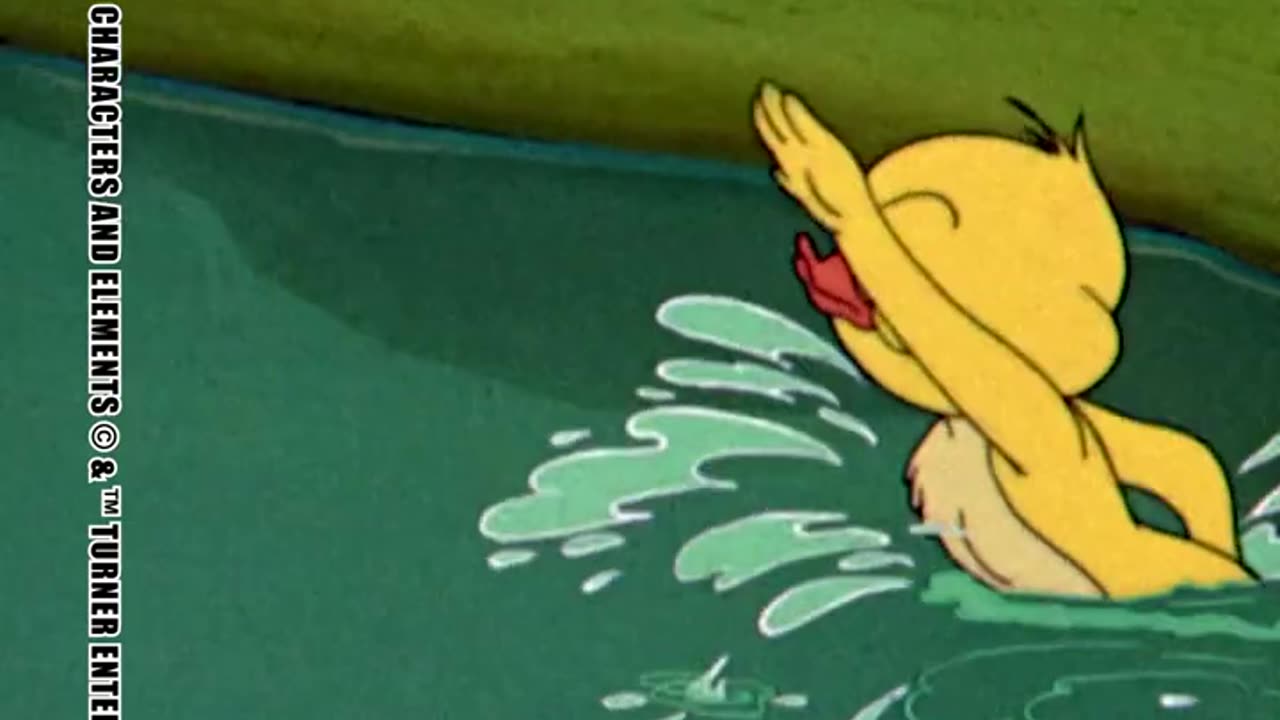 Tom & Jerry in italiano 🇮🇹 | Lezioni di nuoto per Paperina