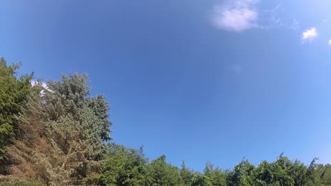jun 28 2021 klawdz tl Ydtl0186