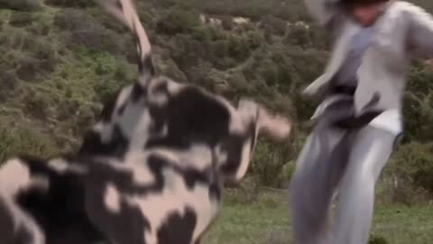 Kung Pow! Enter The Fist - Cow Fight Scene