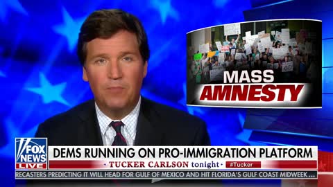 Tucker slams guest who says all 22 million illegal aliens should vote