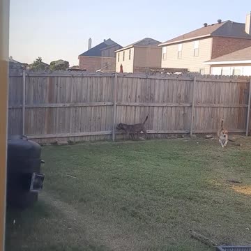 Tucker Carlson Notices Me Today