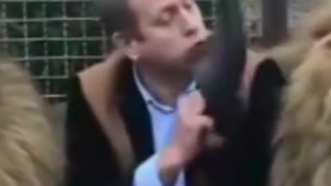 Львы в России😳