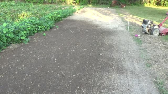 Great and Terrible Gardening s1e35 The Ultimate Garden Experience in Real Time!