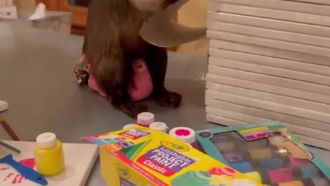 Paintings!