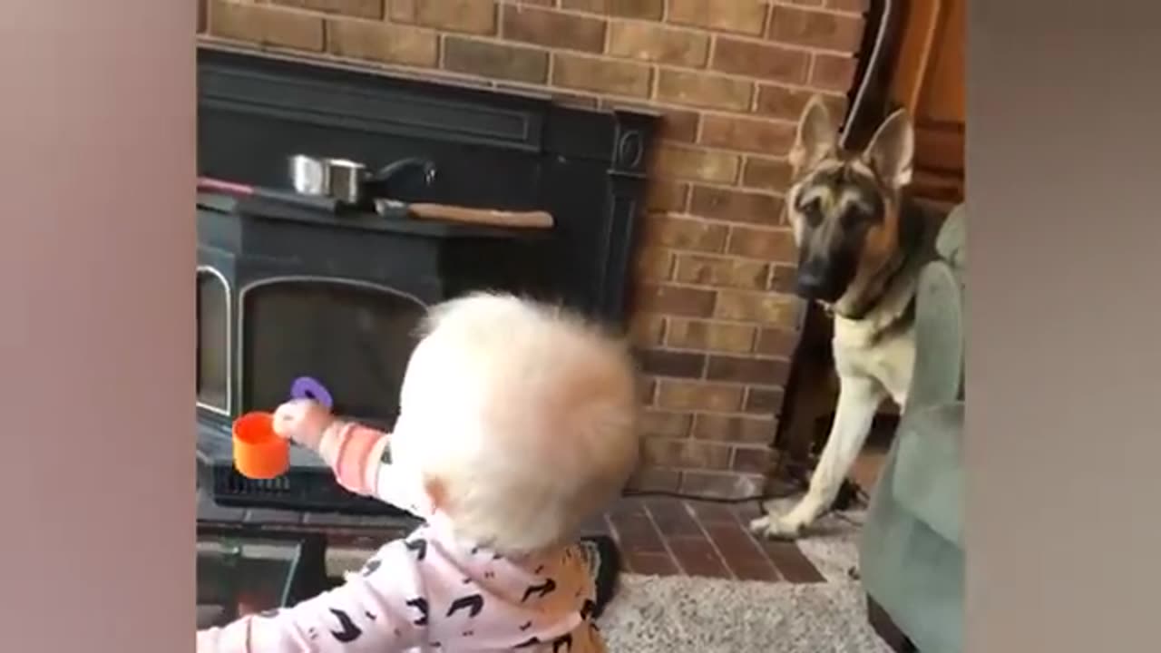 Funny Babies Playing with Dogs Compilation - Funny Baby and Pets