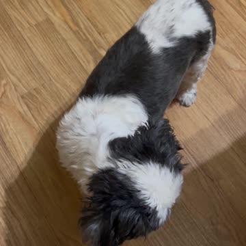 Waiting for the food