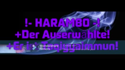 harambo - brennt