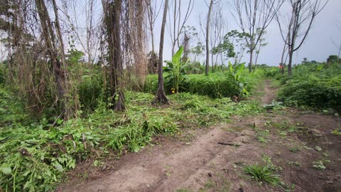 Lugar del Micro relleno Sanitario - Santa Rosita de Tipishca