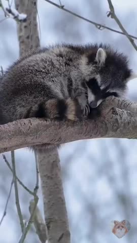 WahJusHappen? 😂🤣