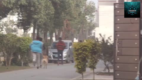 Dog 🐶🐕prank public place