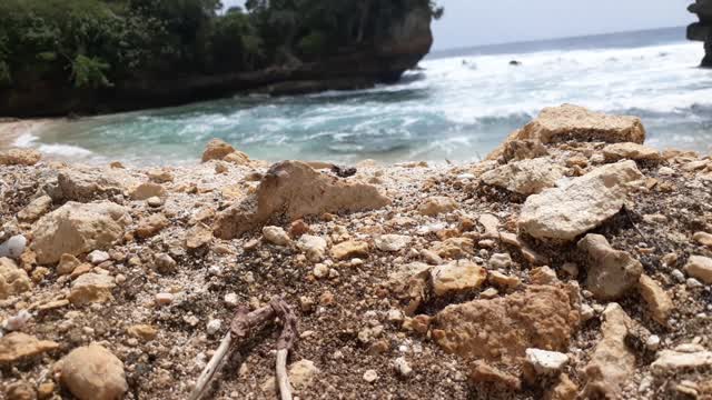 Nature video in the world - very beautiful beach