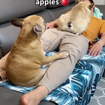 The right word makes magic