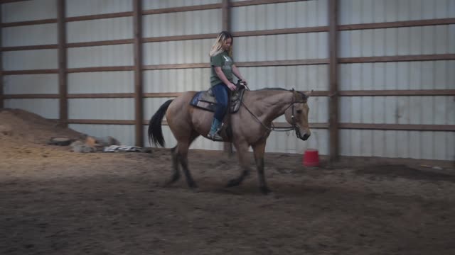 Skip Tee Del Rio - Trot *SOLD*