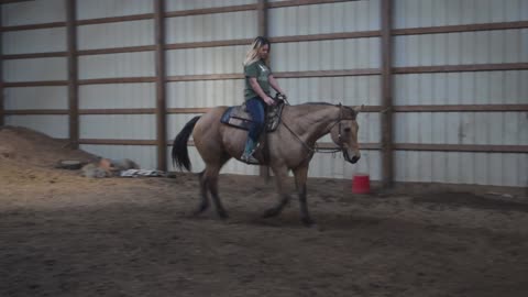 Skip Tee Del Rio - Trot *SOLD*