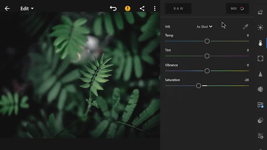 Comparison Of Forest Parameters