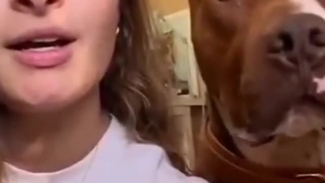 DOG TALKING WITH GIRL FUNNY VIDEO