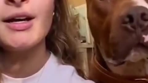 DOG TALKING WITH GIRL FUNNY VIDEO