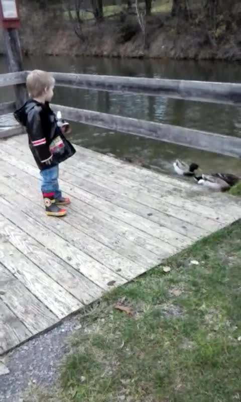 Little Girl Takes Duck Duck Goose To Affectionate New Extreme