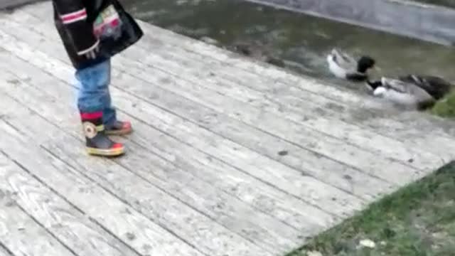 Little Girl Takes Duck Duck Goose To Affectionate New Extreme