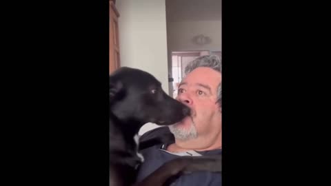 Funniest Cats And Dogs Videos😁 Best Funny Animal Videos 🥰 #34