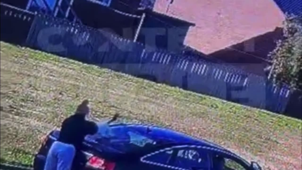 Home CCTV Capture Cat Being Safely Removed From Moving Car