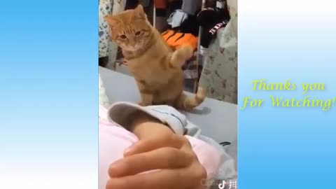 Funniest animals 🐈🐕