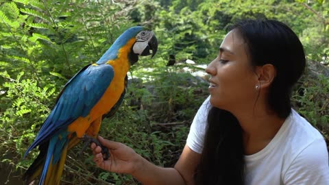 A very beautiful recitation parrot acting