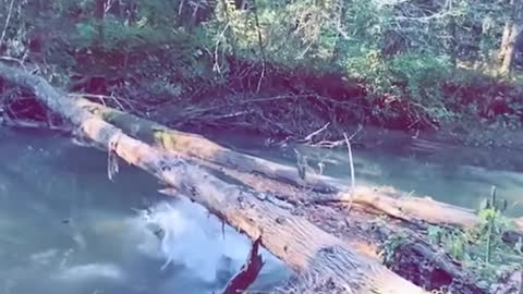 These fails are timeless 😂