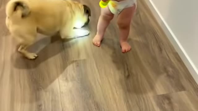 Fun time with dog 😍😂 #shorts #dogsoftiktok #toddler #baby #viral #please #please #subscribe 👇