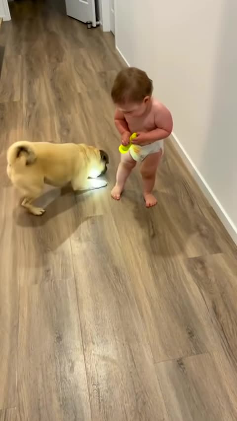 Fun time with dog 😍😂 #shorts #dogsoftiktok #toddler #baby #viral #please #please #subscribe 👇