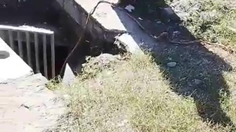 Desperate residents create a makeshift well to access water underground