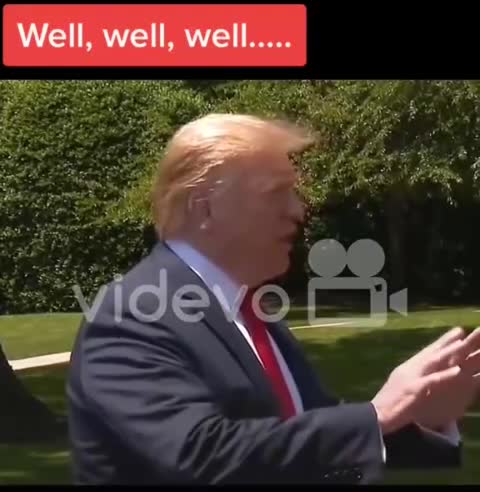 1659. TRUMP🇺🇲Declassified "EVERYTHING"