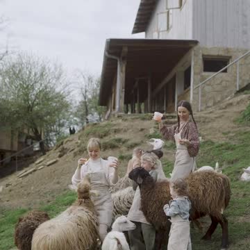 Best and funniest goat videos - Funny and cute animal compilation