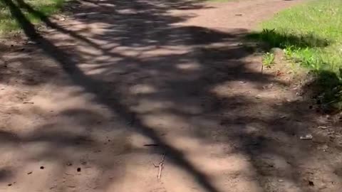 Camping trip