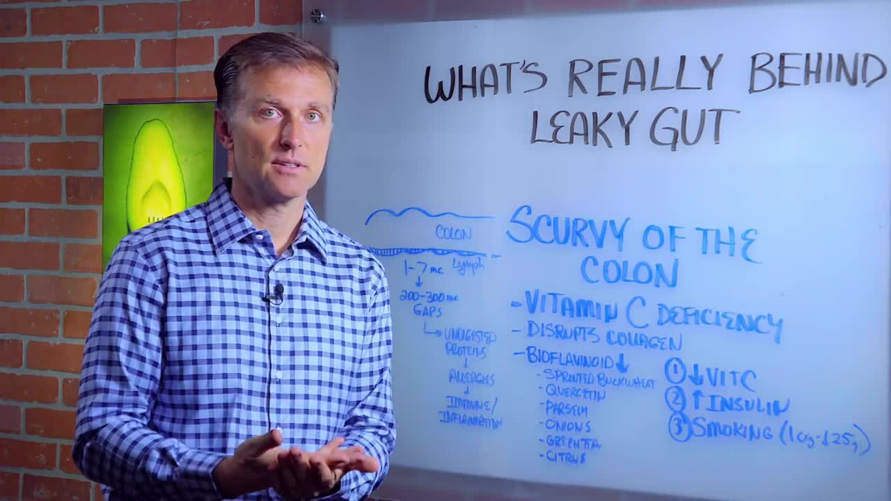 DrBerg-What's Really Behind Leaky Gut