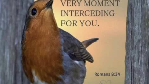 JESUS IS INTERCEDING FOR YOU AT THIS VERY MOMENT - ROMANS 8 : 34