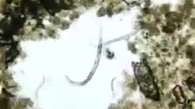 Προσεχε τι τρως προσεχε τι δινεις στα παιδια σου