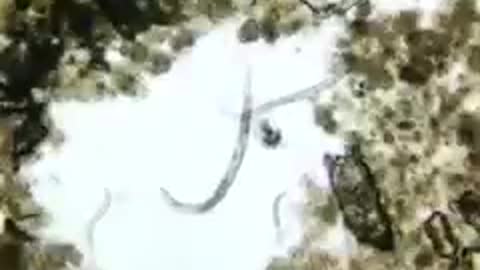 Προσεχε τι τρως προσεχε τι δινεις στα παιδια σου