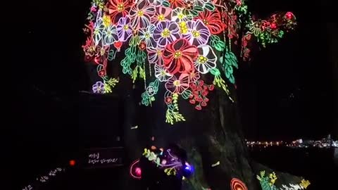 Beautiful light festivals and amazing sights(1)