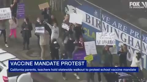 Massive Protest - CA
